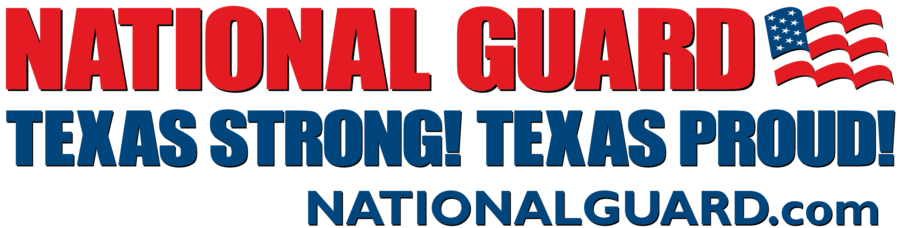 Texas Army National Guard Logo