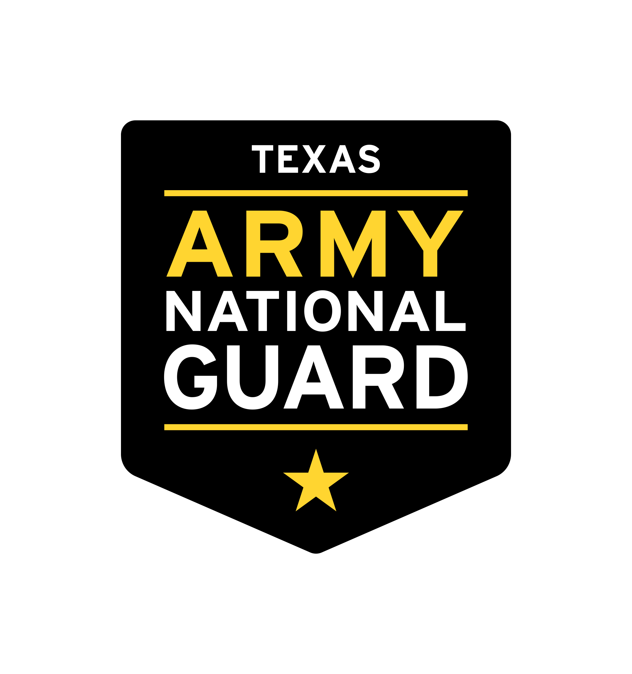 Texas Army National Guard Logo