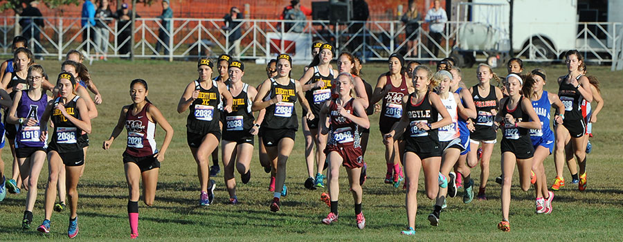 Cross Country State Tournament